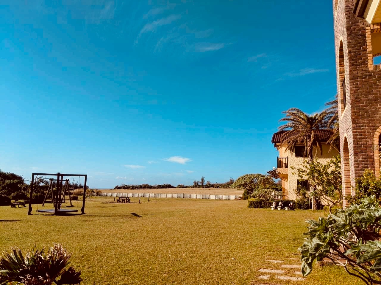 放牛吃草海景草原